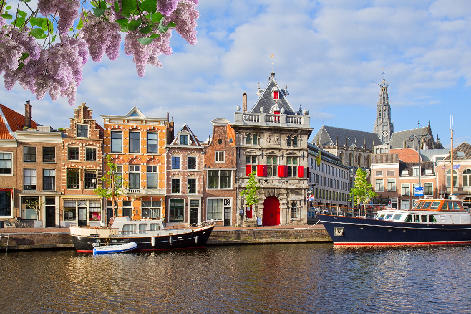 Picturesque canal in Haarlem with historic buildings, a Gothic church, and moored boats. Lavender blossoms hang nearby under a partly cloudy sky.