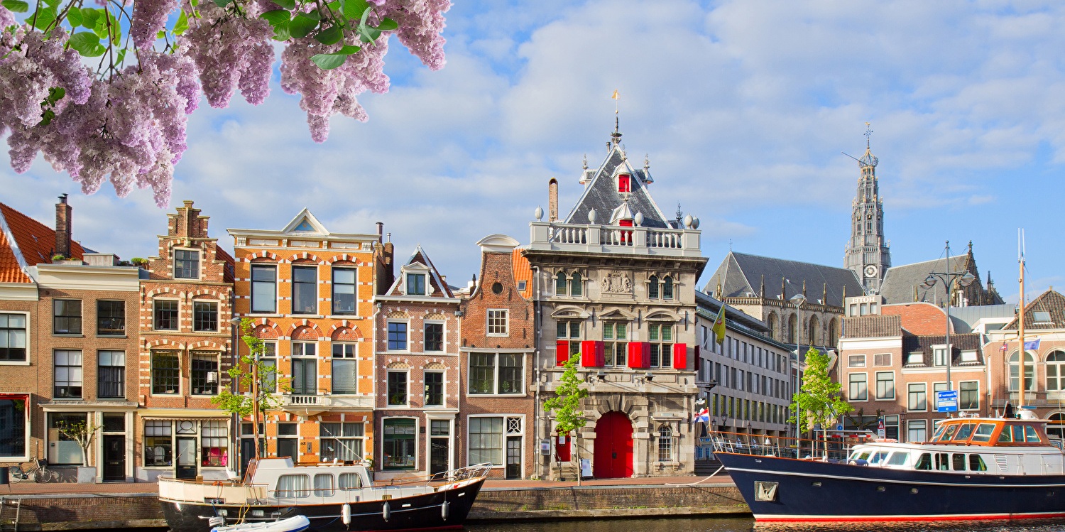 Picturesque canal in Haarlem with historic buildings, a Gothic church, and moored boats. Lavender blossoms hang nearby under a partly cloudy sky.